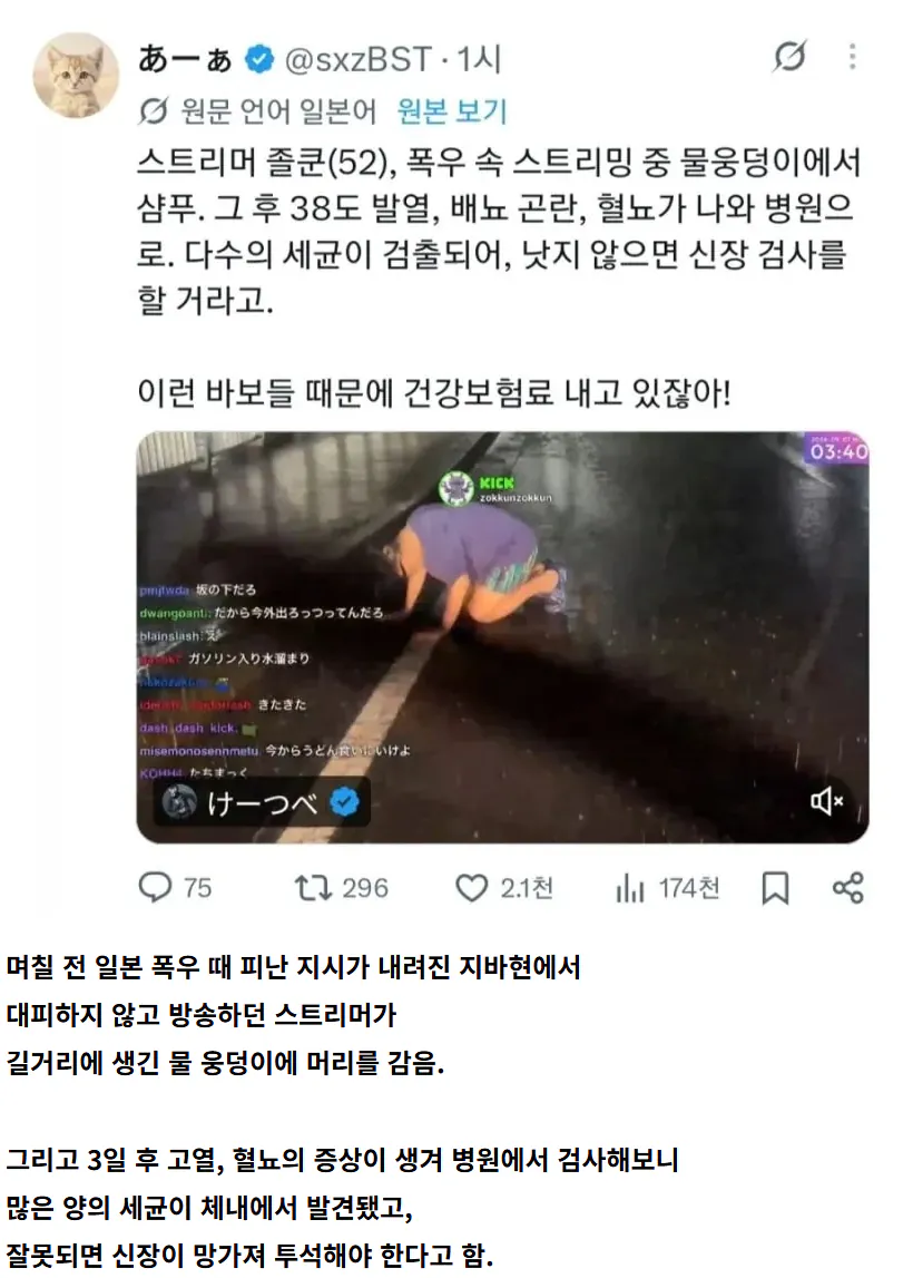 image.png 물웅덩이에서 함부로 몸 씻으면 안 되는 이유