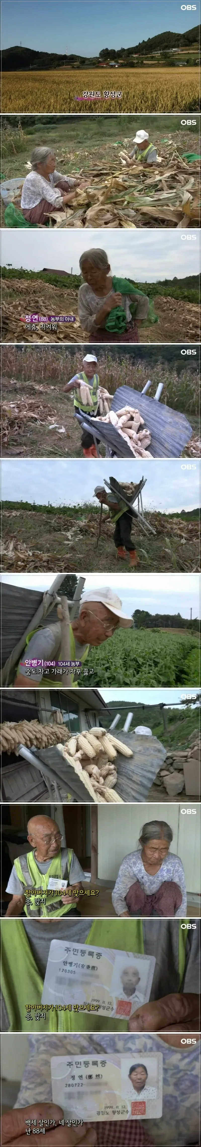 38819c17-5c35-4d65-a84b-f4d15e446be5_136284d00c255c31a185.webp 매일아침 고봉밥 한그릇씩 드시는 104세 농부.jpg