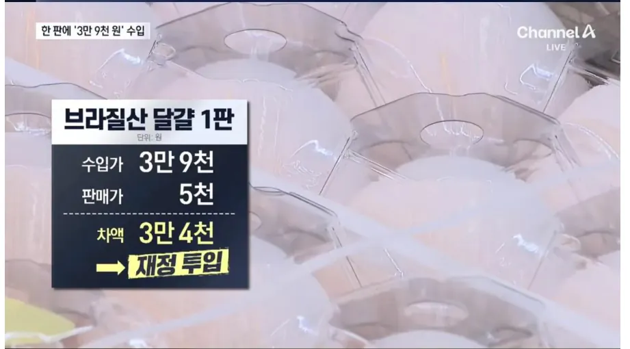 image.png 브라질 계란 수입 사태 근황 . jpg