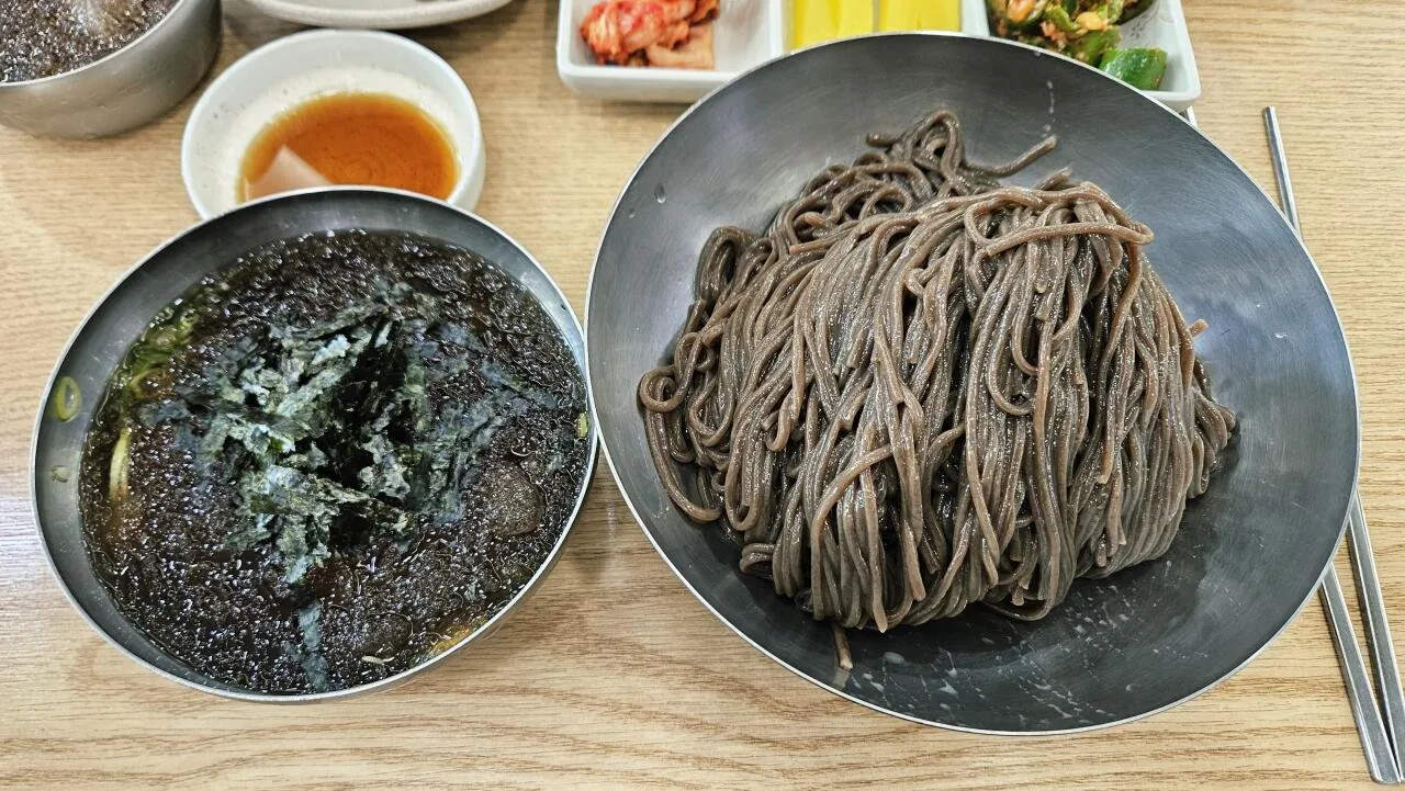 20260804_130448.jpg 좌투좌타 아들) 10개월만에 근황 글