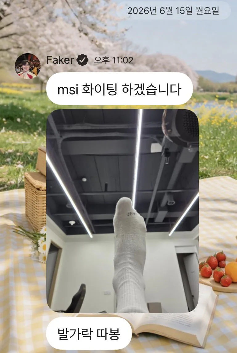 페이커 버블