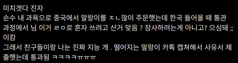 1.png 말랑이 왕창 직구 했다가 세관한테 업자로 찍힌 사람의 사유서