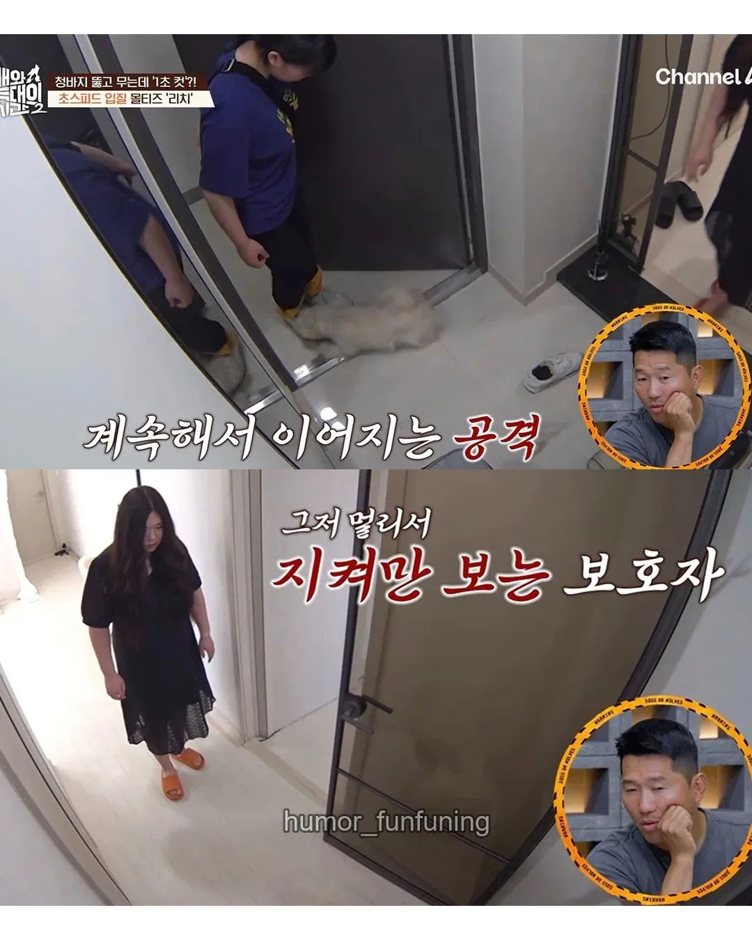 6507.jpg 강아지가 10분만 물면 더이상 안문다고 그냥 물리라고 하는 보호자 ㄷㄷ