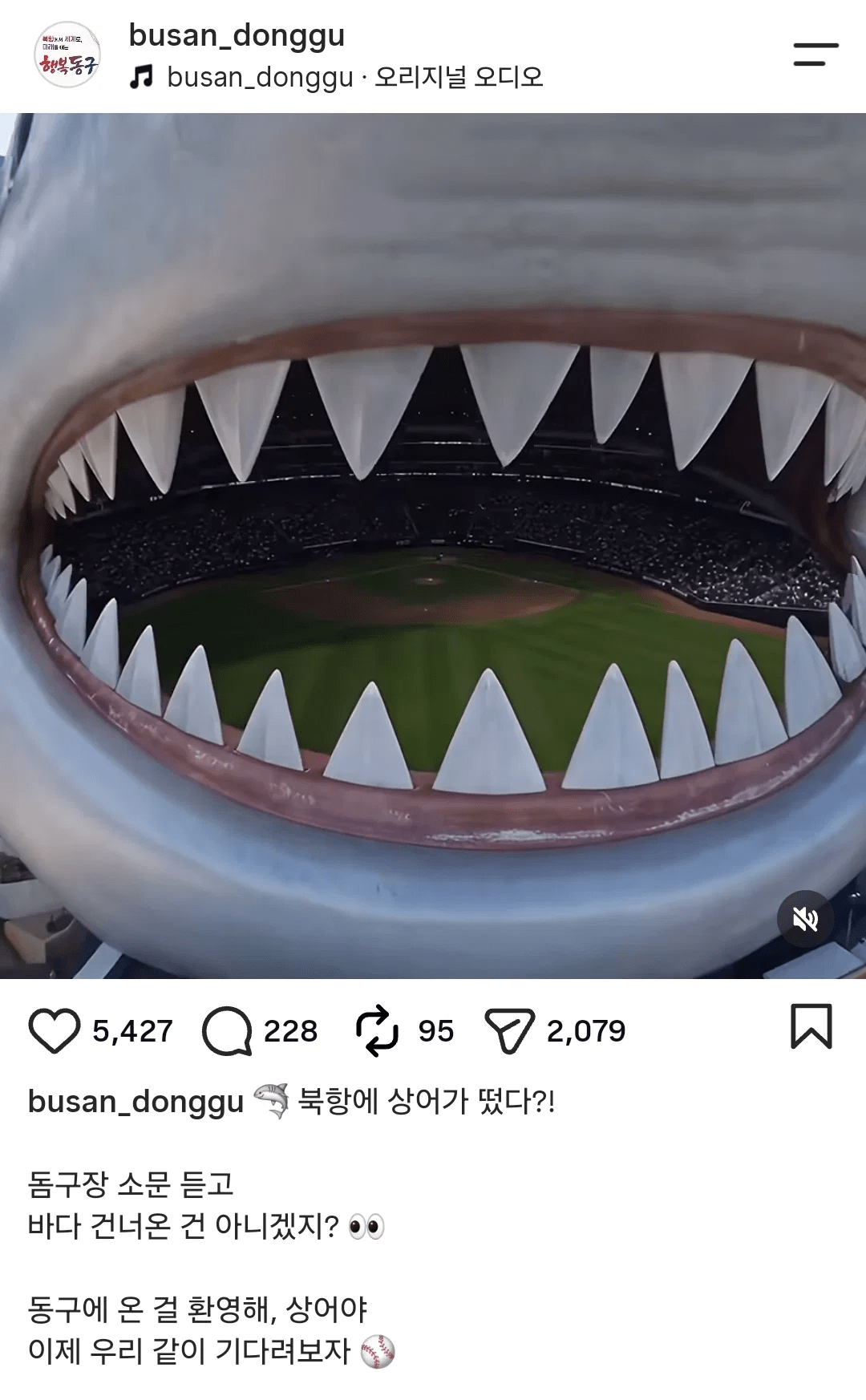 image.png 상어 부캉이 이슈에 하나둘씩 노젓기 시작하는 부산시.jpg