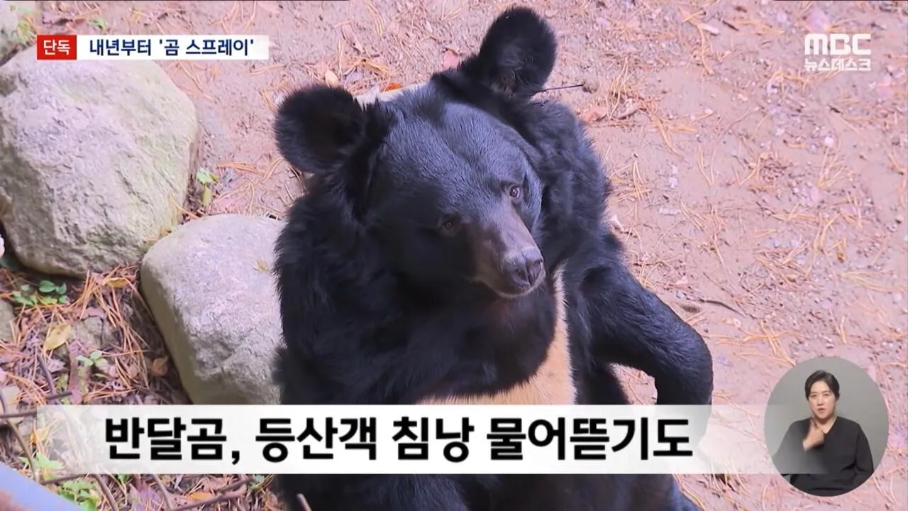 심상치 않음이 느껴지는 지리산 반달곰 뉴스