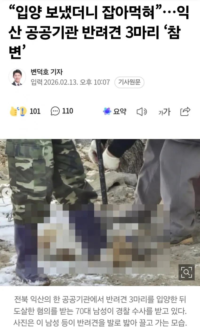 image.png 약혐) 반려견 3마리를 분양받았던 70대 노인