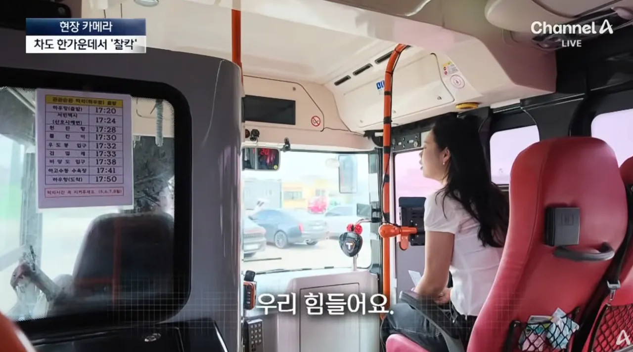 우도 ‘1등 고객’이지만…달갑지 않은 이유 (18).png 중국인 관광객들때문에 몸살앓고있다는 제주도 우도