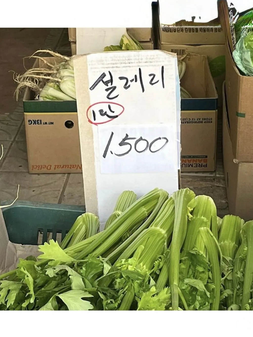 113.jpg 불쌍해서 구매할 수 밖에 없는 복숭아