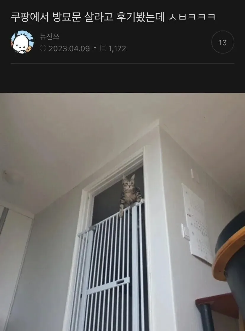 1.webp 쿠팡 방묘문 구매 후기.jpg