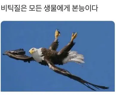 image.png 의외로 대한 최후의 의병이었던 단체