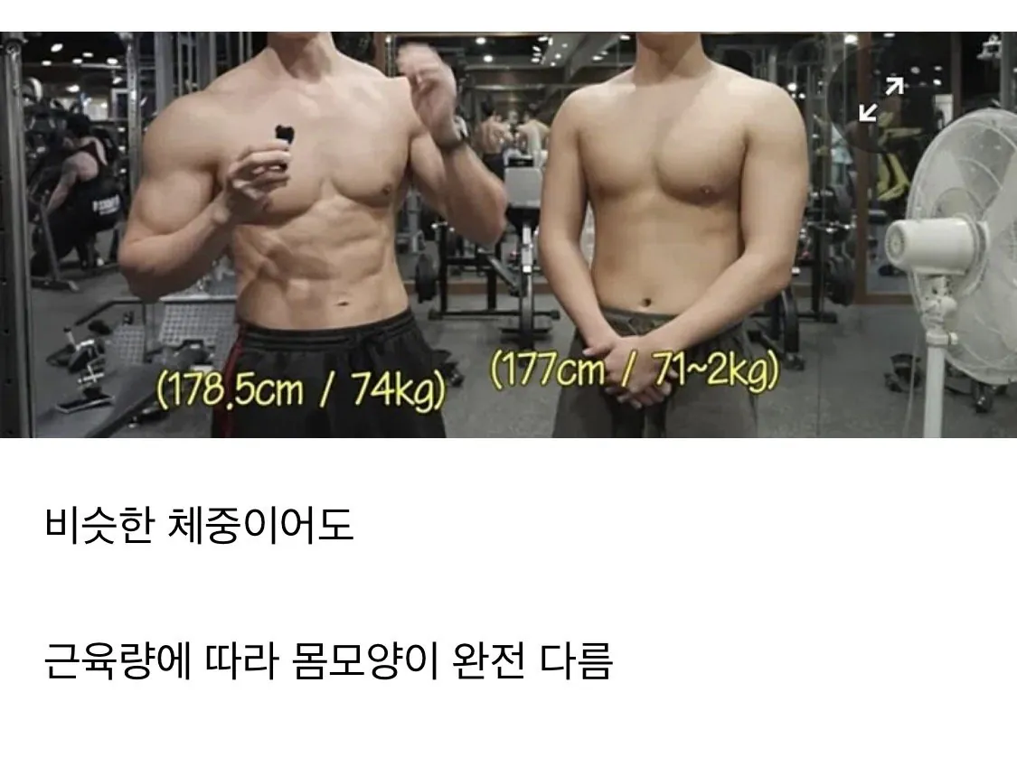 IMG_5893.jpeg 비슷한 체중, 다른 몸매 ㄷㄷㄷㄷㄷㄷ.jpg