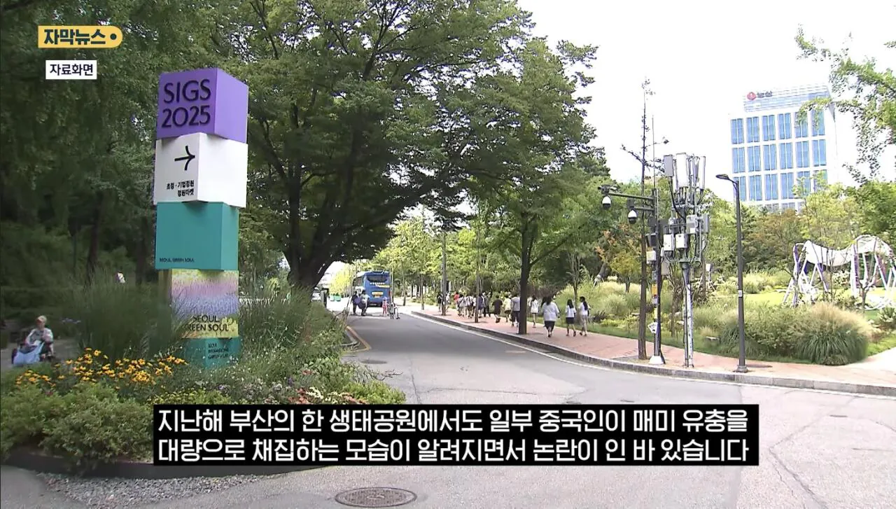IMG_3054.jpeg 최근 한강공원에서 곤충무단채집 현수막을 건 이유.jpg