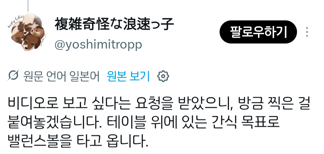 Screenshot_20261016_234418_X.png X에서 좋아요 7만개 받은 강아지 ㅋㅋ
