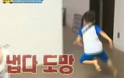 도망 짤.jpg 꿀벌은 왜 침을 한 번 쏘면 죽을까?