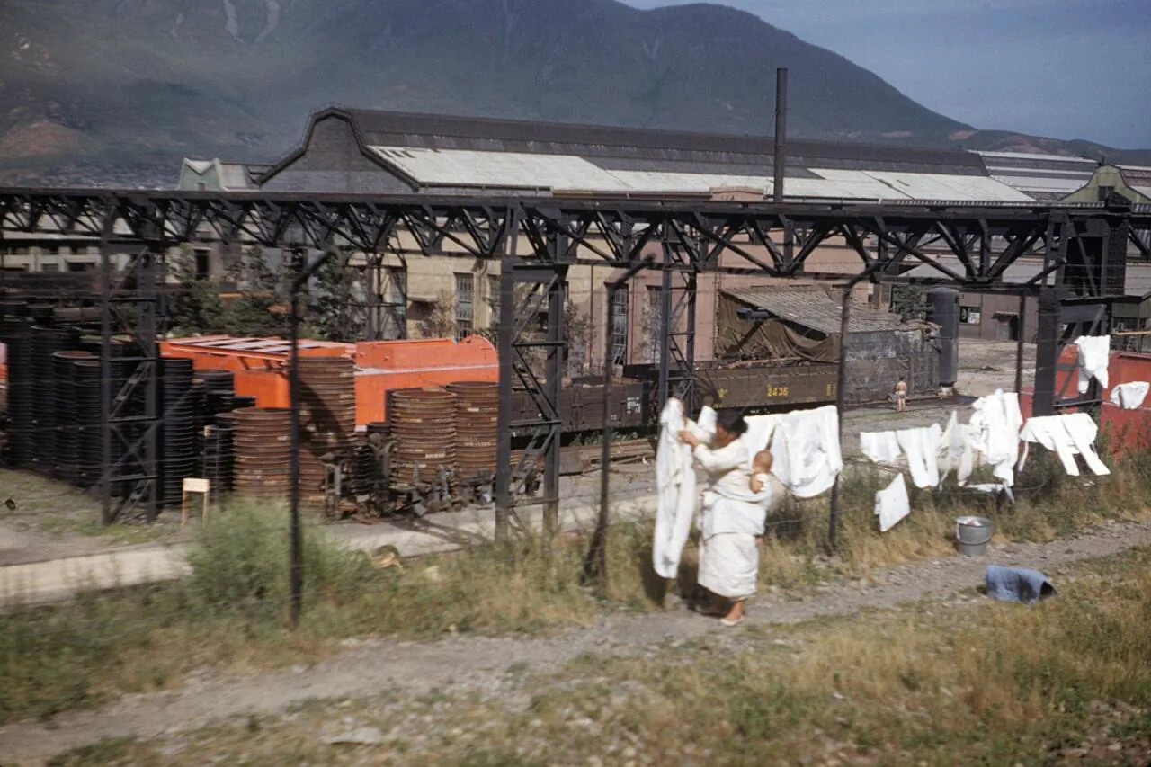 e_washing-1952_15867393689_o.jpg 희귀사진(KOREA, 1952)