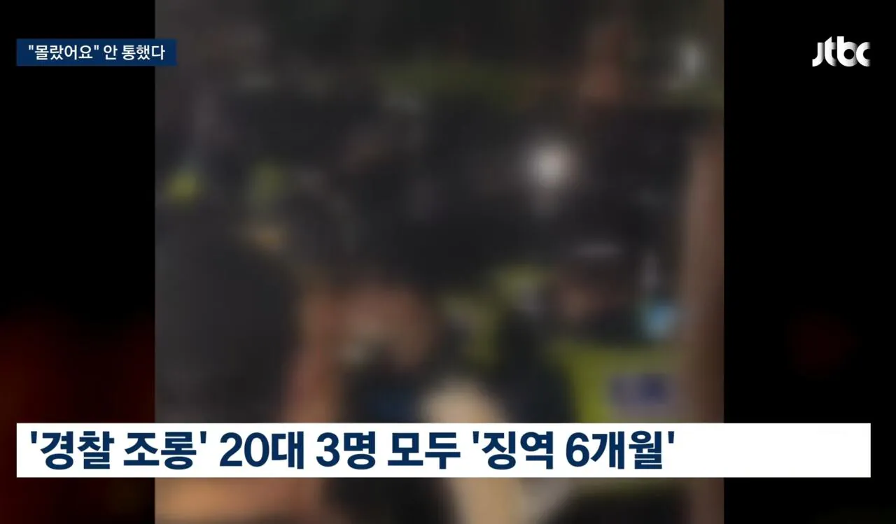 경찰관 조롱하던 20대 3명 징역6개월