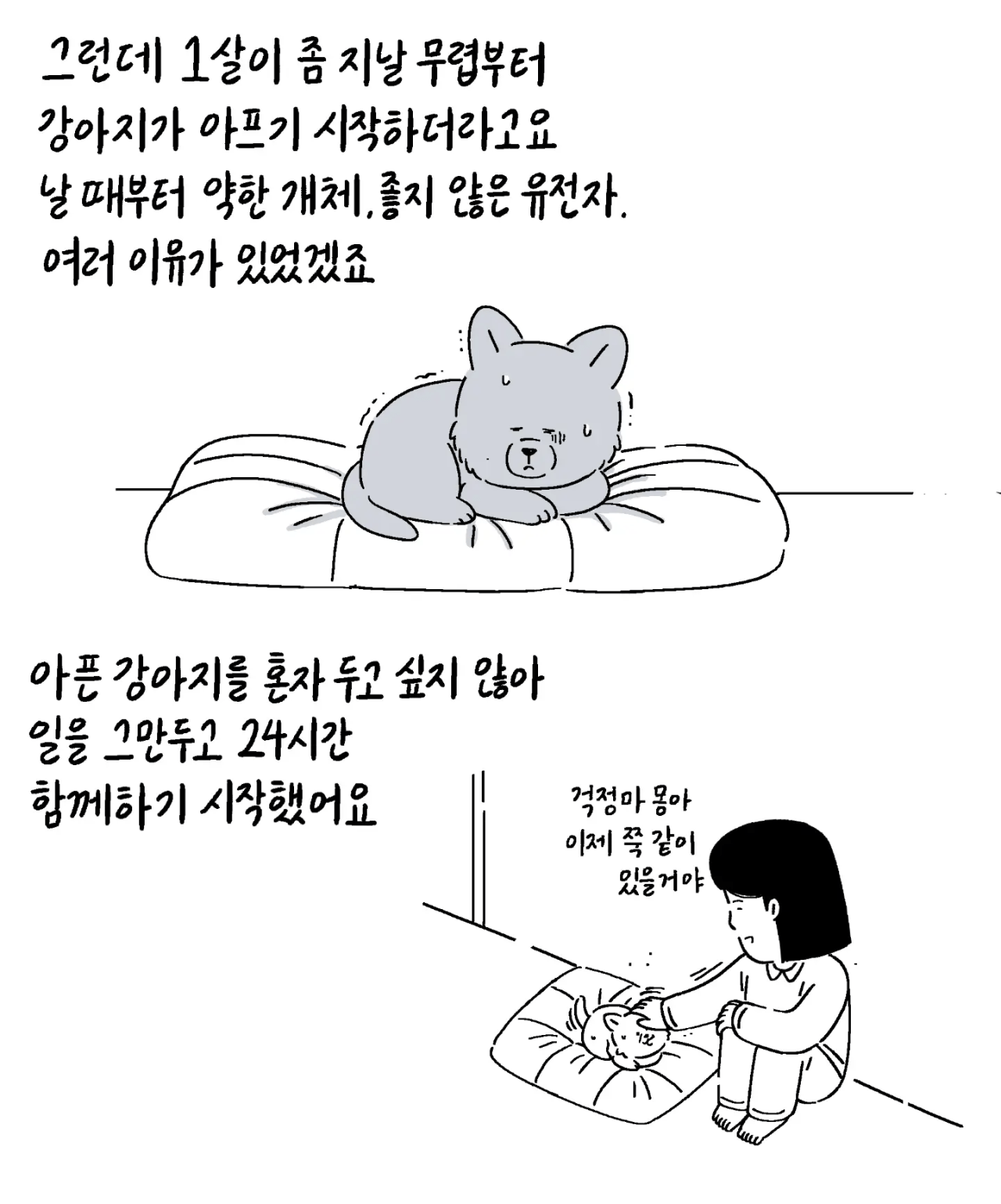 image.png 친구가 펫샵에 파양한 강아지 데리고 와 지극정성으로 키운 사연자