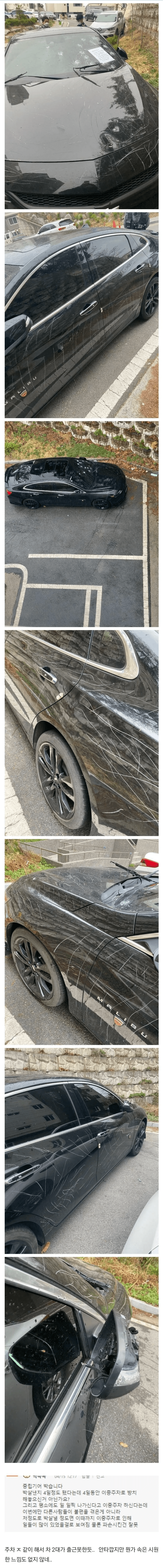 image.png 주차 테러당한 보배 아재.jpg