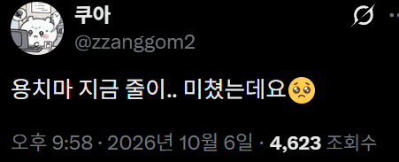 image.png 실시간 용산 오픈런 근황