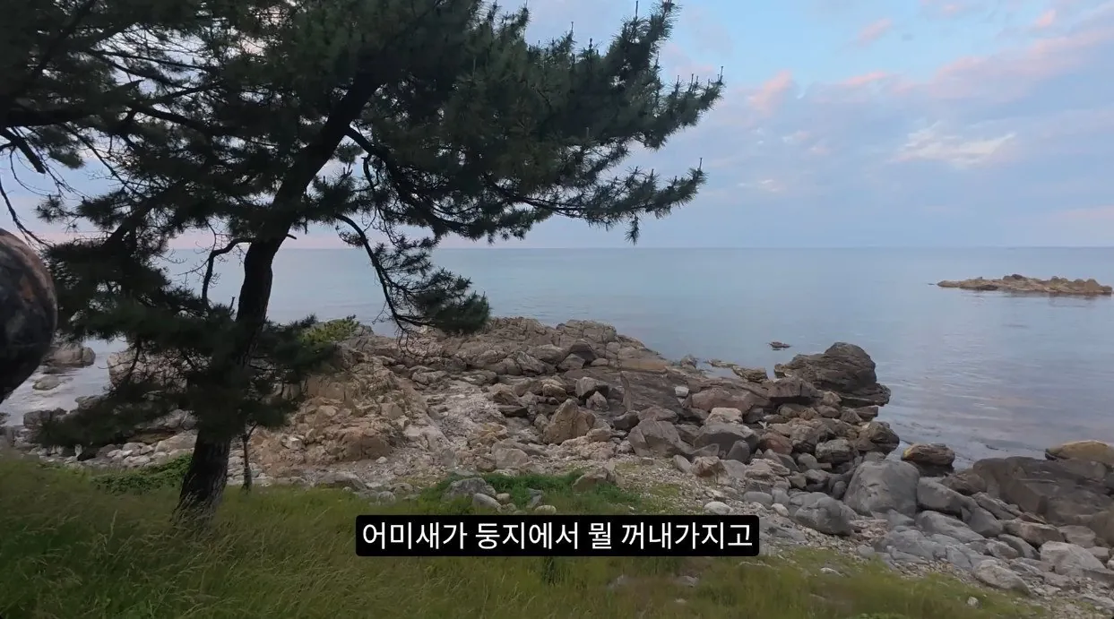 8742374326_486616_23d5122218effde9439d327d6450c4f0.jpg 최근 수리부엉이가 먹이로 잡고 있다는 동물
