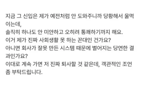 4.webp 나보다 연봉 높은 신입 이제 안 가르치기로 했는데 제가 너무한가요?