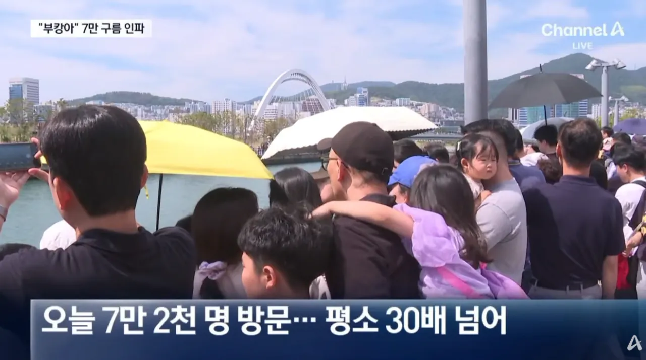 “부캉이 보자” 7만 명 구름 인파…불법주차 몸살 (4).png 오늘 하루 부산 상어 보려고 방문한 방문객수