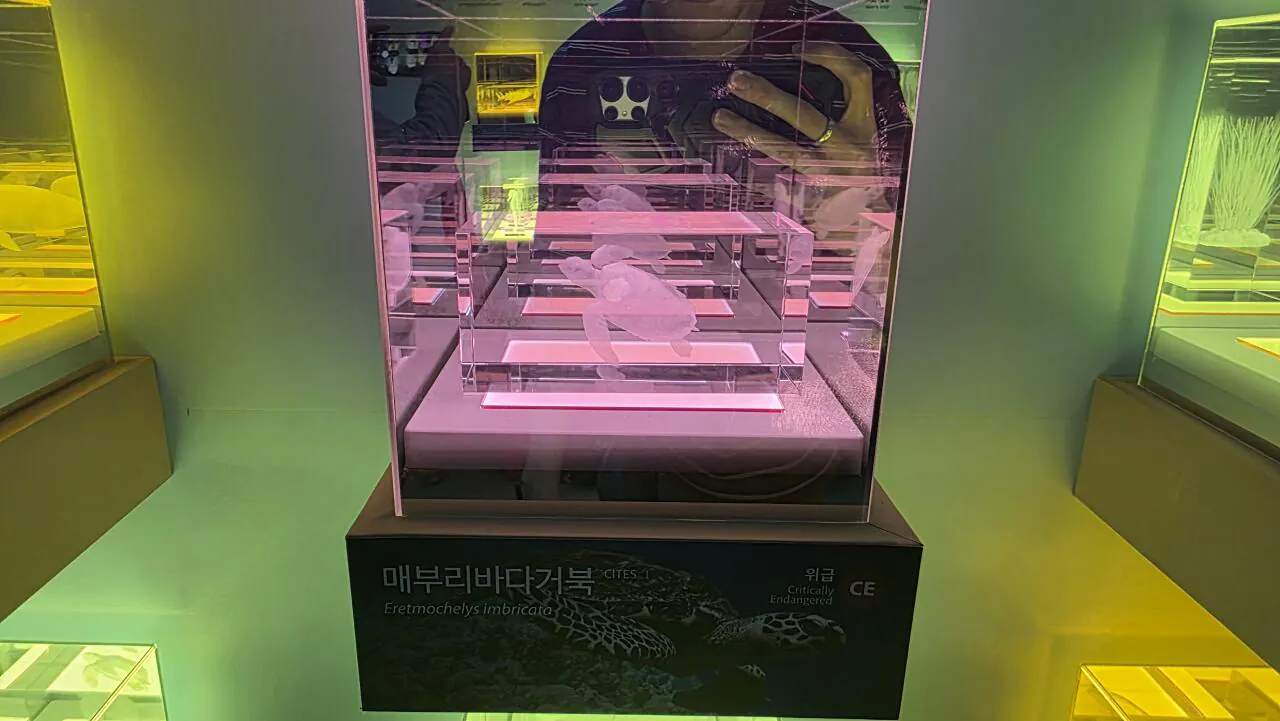 20260912_135421.heic.auto.jpg 여수섬박람회 내돈내산 끔찍한 후기