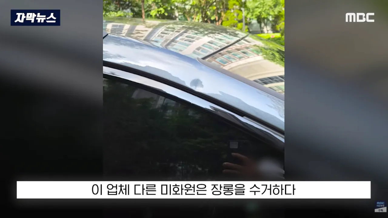 이걸 미화원에 떠넘겨..부서진 차주마저 '극대노' (13).png "이걸 미화원에 떠넘겨?"..부서진 차주마저 '극대노'한 환경미화원 업체