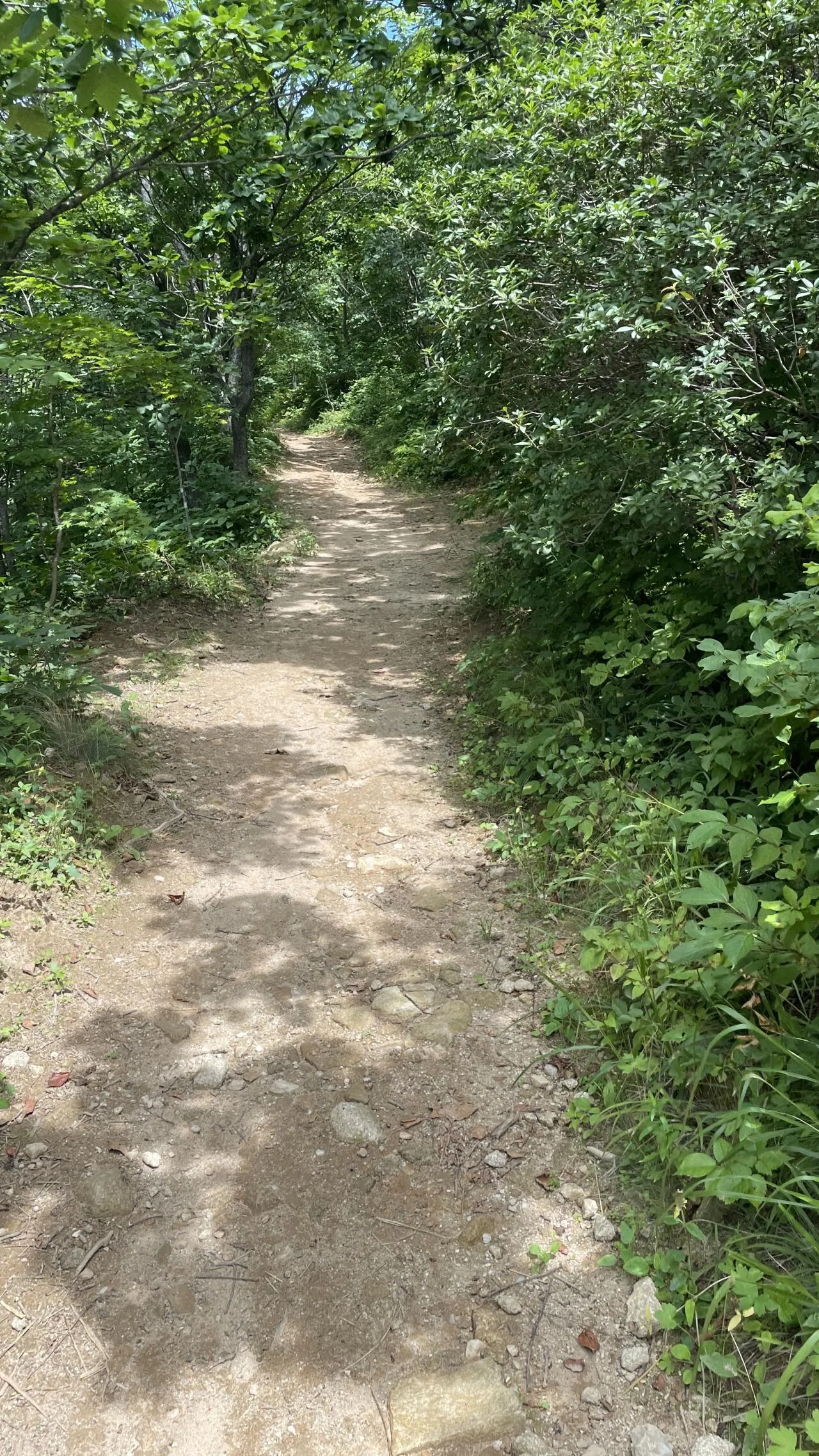 KakaoTalk_20260721_231753644.jpg 20년 지기 친구와 급 강원도 여행 - 막고기, 막국수, 산채정식