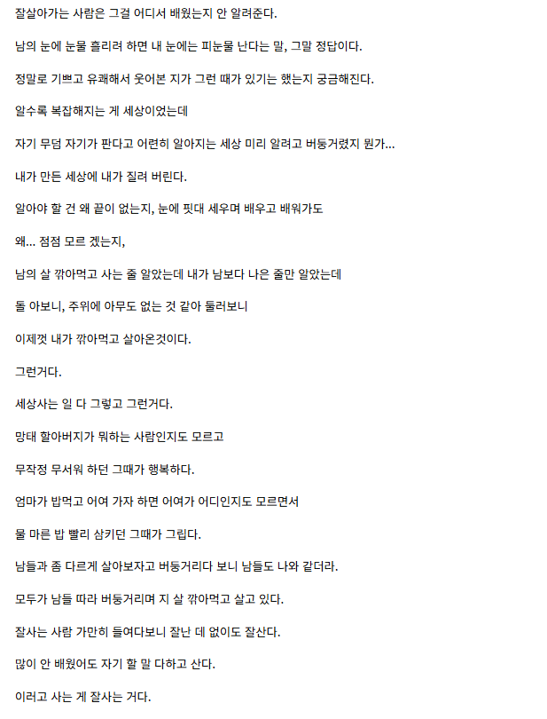세상을 등진 동생 블로그에 친형임 남긴 글.