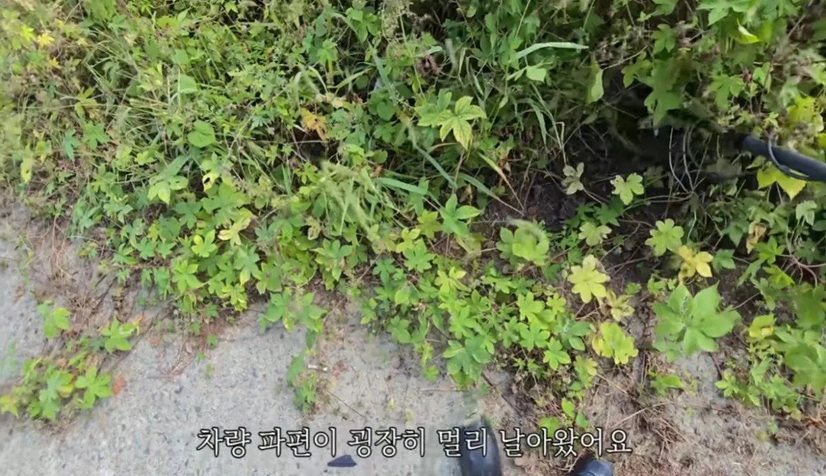 인디아나 웁스 (50).bmp.ren.jpg 스압 ) 금속탐지기로 고인의 유품을찾아준 유튜버