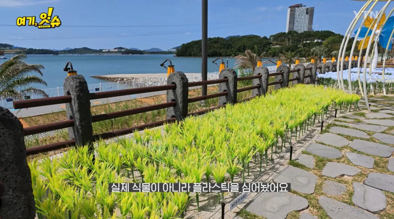 섬 박람회를 직접 가보니 화가 난다는 기자 ㄷㄷ