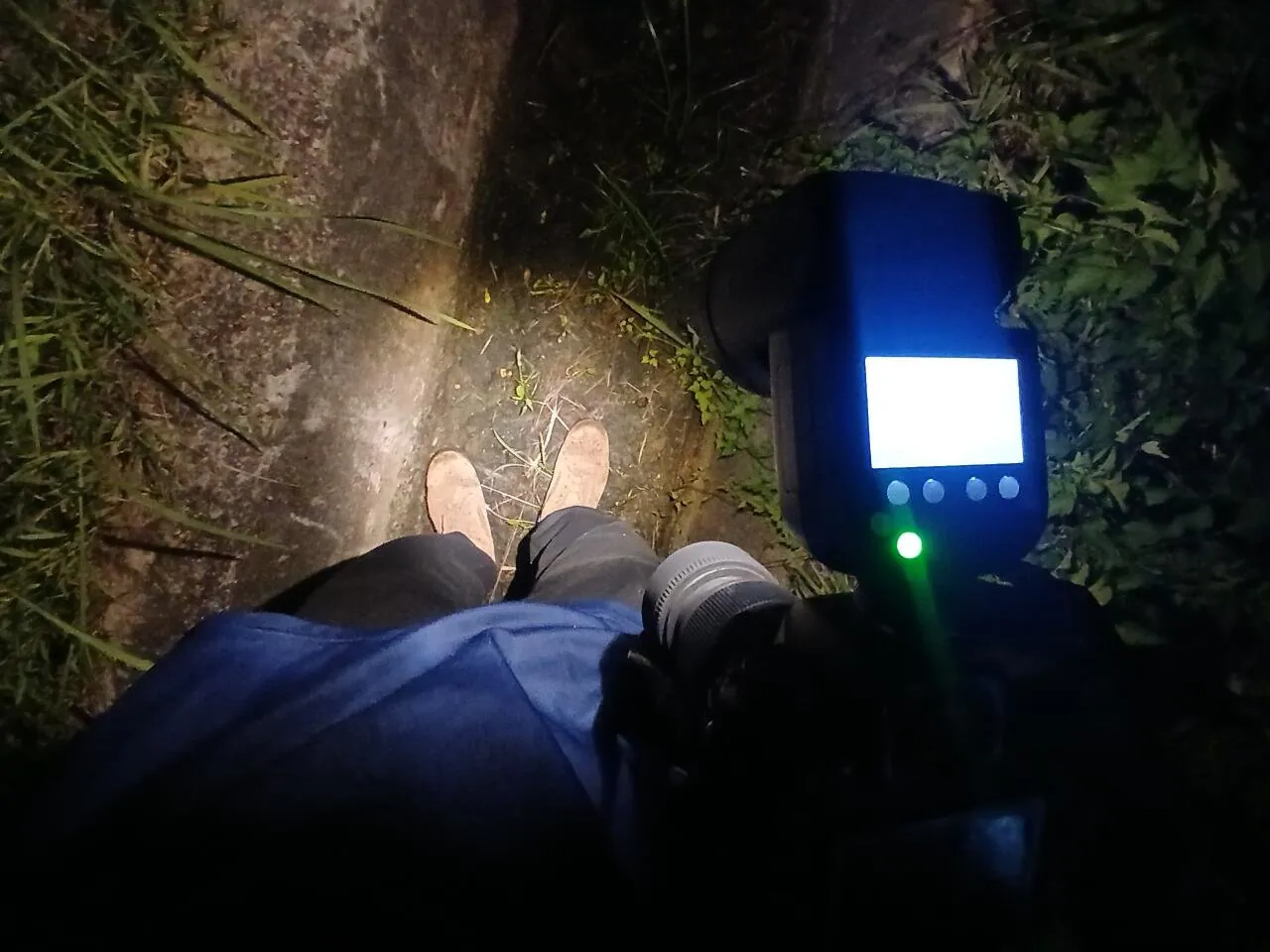 1000028427.jpg 혐주의) 뱀 찾으러 산 갔다 옴