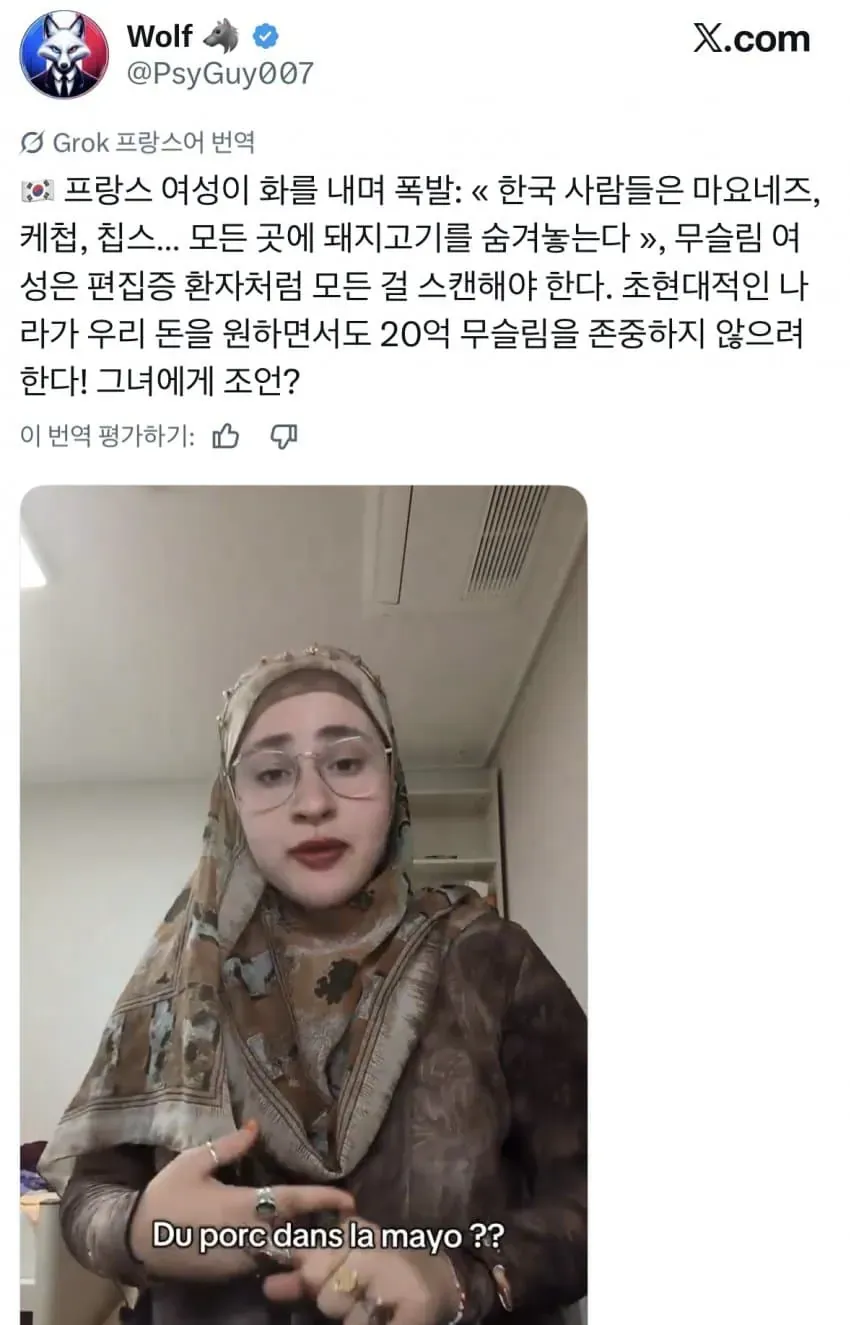 Internet_20260515_122404.webp 한국인은 20억 무슬림을 존중하지 않는다는 프랑스여성;;
