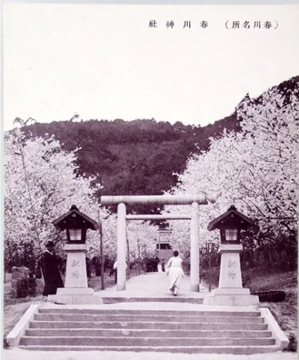 image.png 한국 역사상 가장 제대로 티배깅 갈긴 곳
