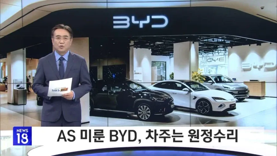 19785.webp 대환장의 BYD