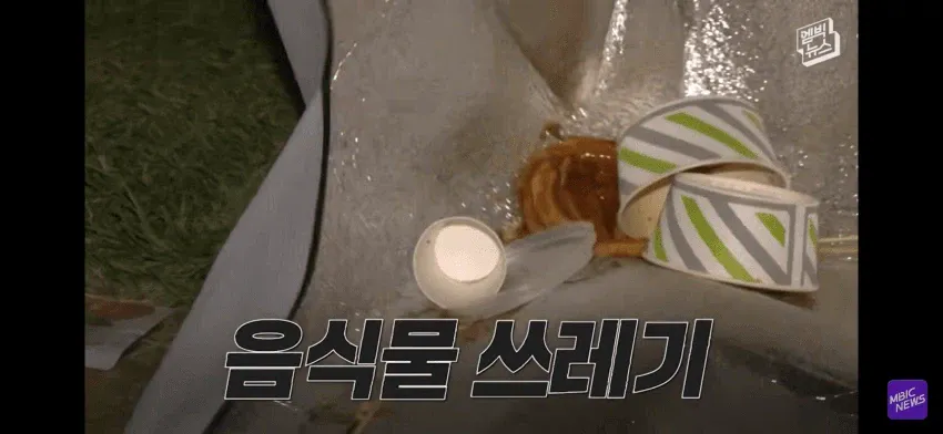 1a07c1c6ca552aa3d.webp 불꽃축제 후 환경미화원의 분노.jpg