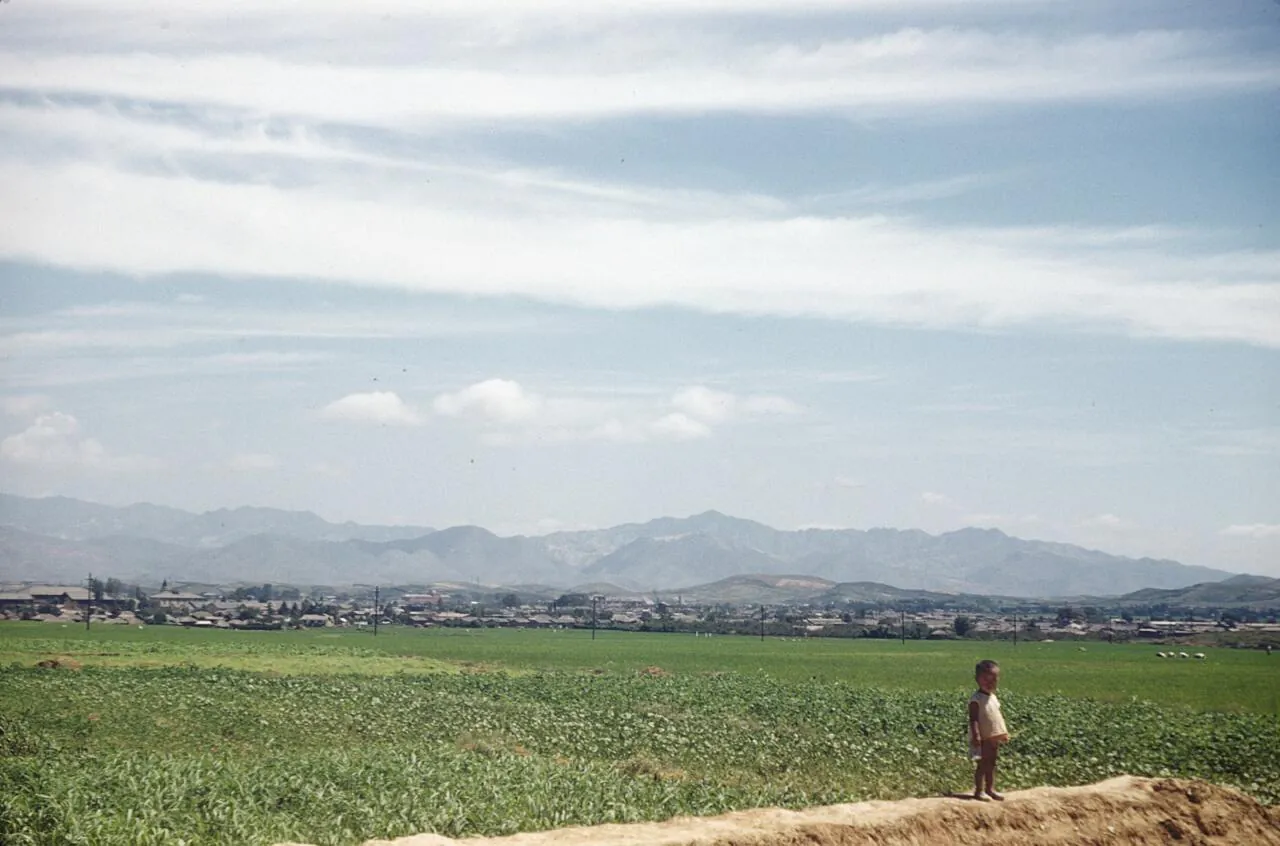 e_farm-fields1952_15520186564_o.jpg 희귀사진(KOREA, 1952)