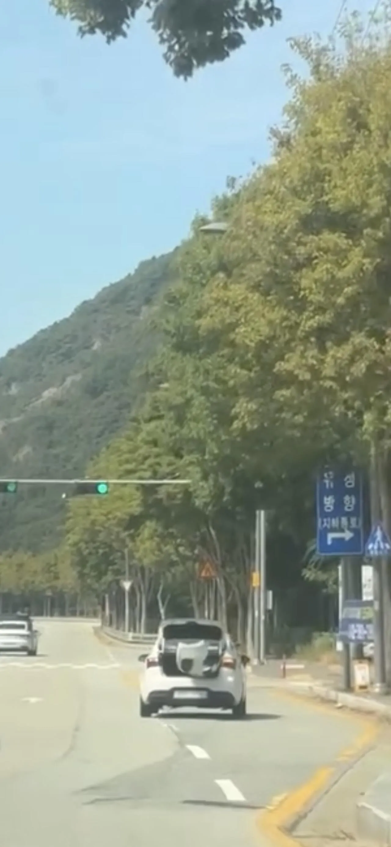 추석 연휴  도로 레전드 상황