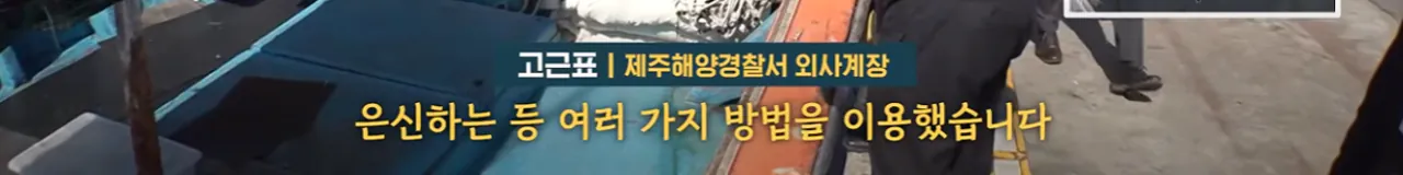 image.png 제주도 근황 시발