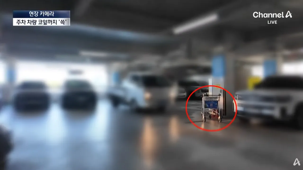 설마 여기까지…공항 카트의 황당 종착지 (29).png 공항카트를 자기 마음대로 쓴다는 뻔뻔한 인간들