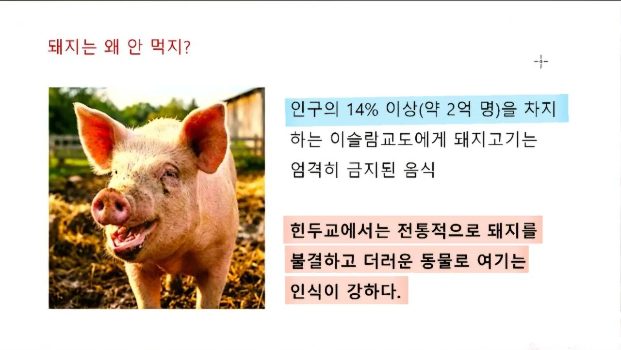 1000121556.jpg 인도에서 소고기 가격이 닭고기보다 50% 저렴한 반값인 이유