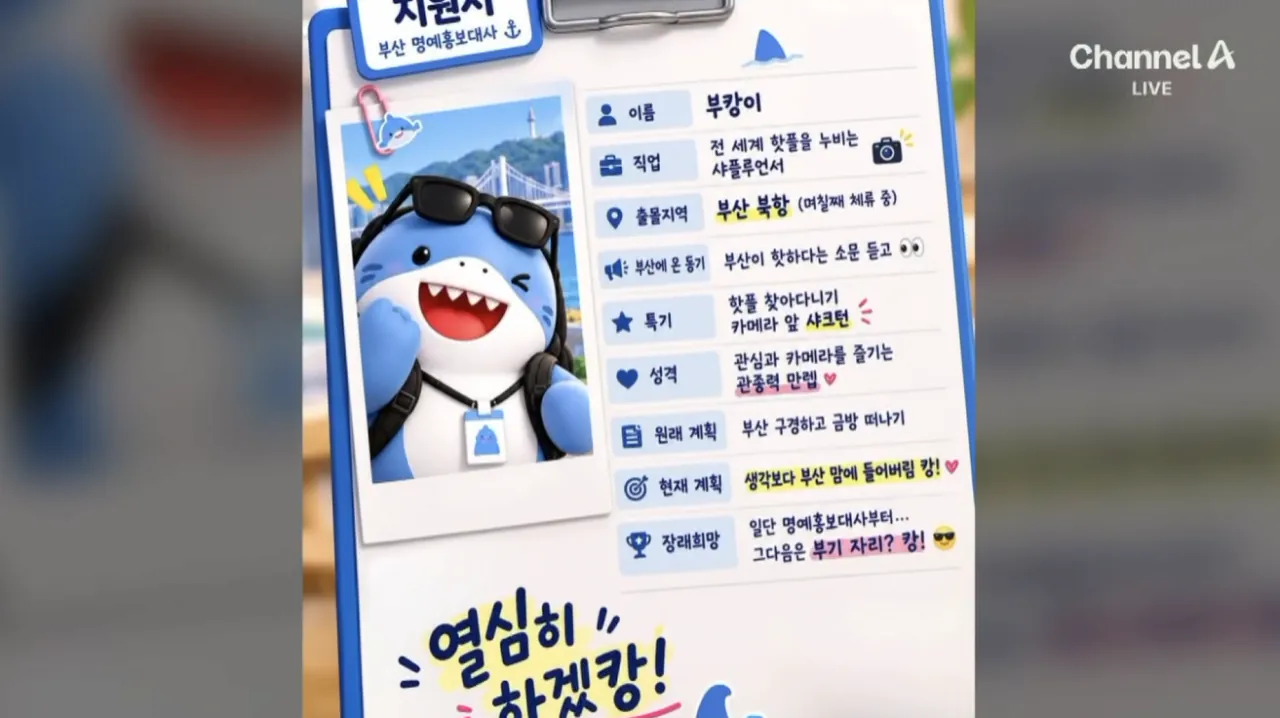 “부캉이 보자” 7만 명 구름 인파…불법주차 몸살 (10).png 오늘 하루 부산 상어 보려고 방문한 방문객수