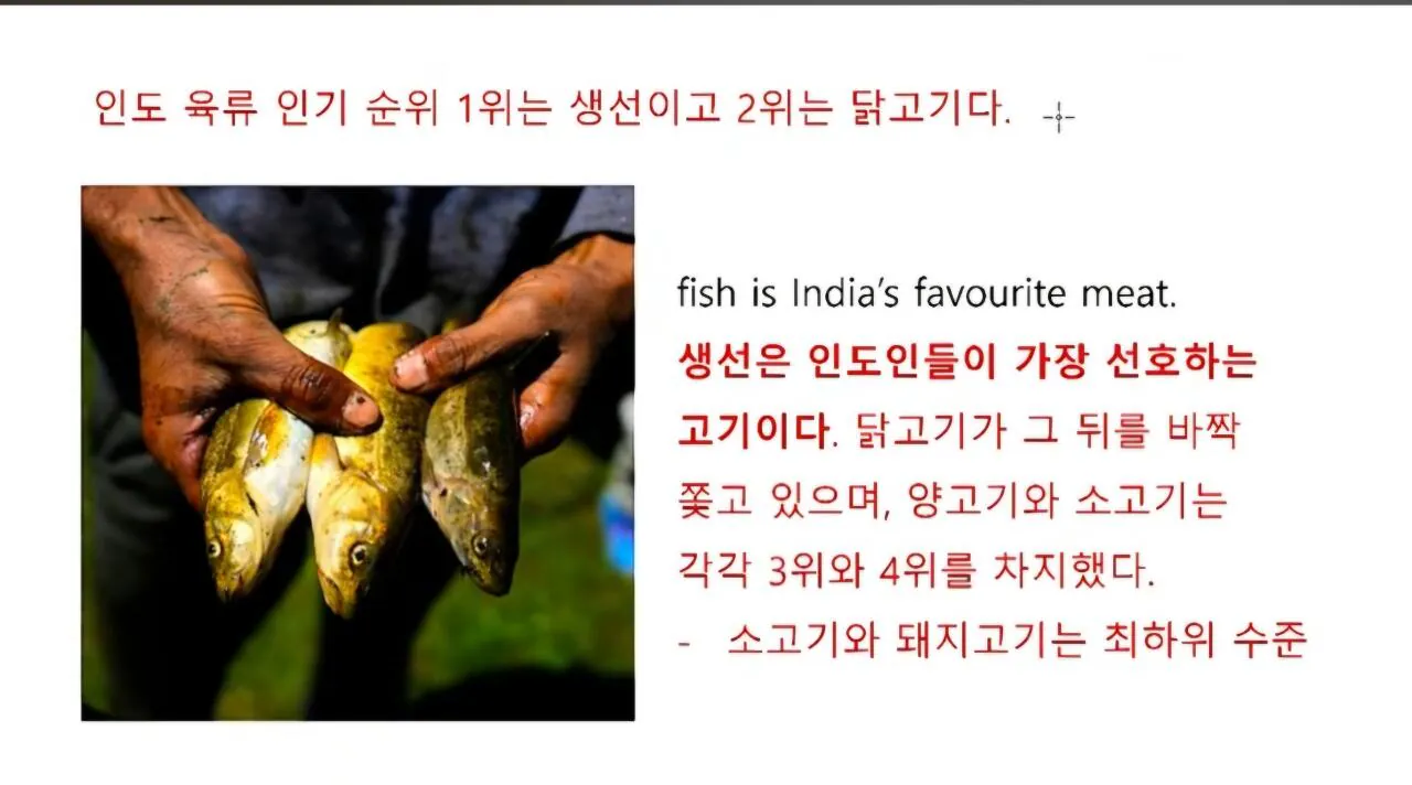 1000121559.jpg 인도에서 소고기 가격이 닭고기보다 50% 저렴한 반값인 이유