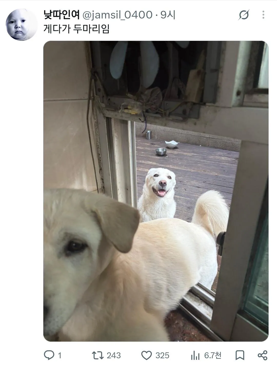 1000118485.jpg 친구 인스타 스토리 존나 비현실적
