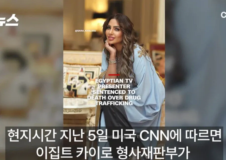 1a07f625fe853b8ac.webp "팔로워 250만 유명 여성 방송인"에 사형 선고한 이집트