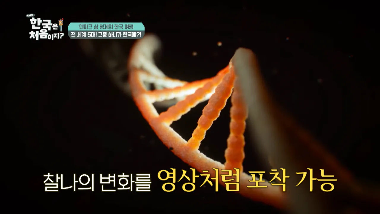 바이러스 잡는 거대한 현미경_ 한국 4세대 가속기 보러 간 덴마크 삼 형제 l #어서와한국은처음이지 l #MBCevery1 l EP.443 2-58 screenshot.png 덴마크 공대생이 어서와 한국은 처음이지 출연해서 방문한 곳 ㅋㅋㅋㅋㅋ