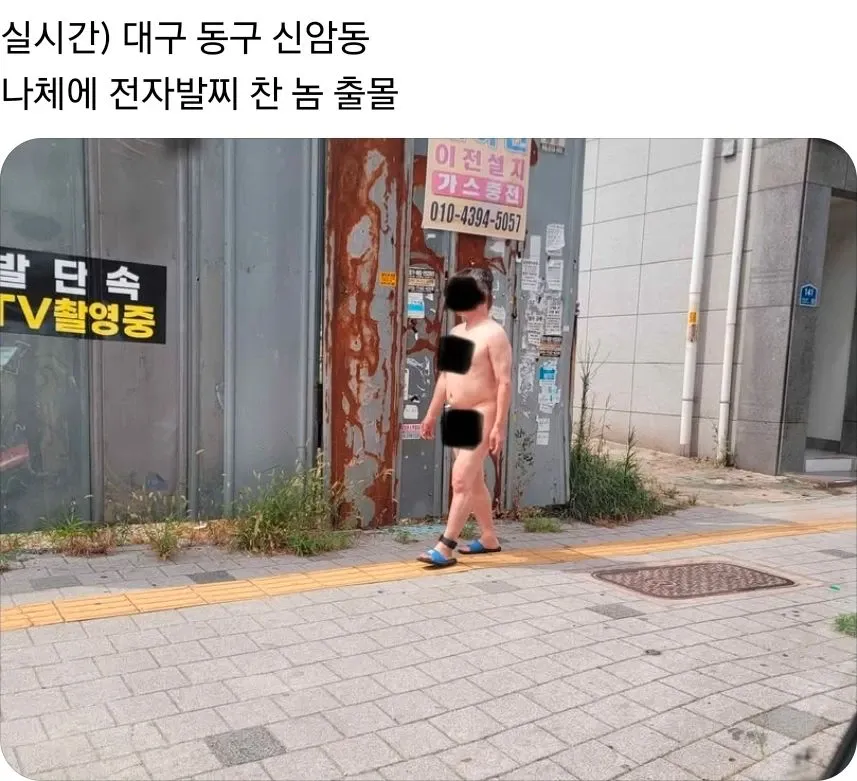 risi1787039815_908366297.webp 대구에서 일주일 간격으로 나타난 터미네이터.
