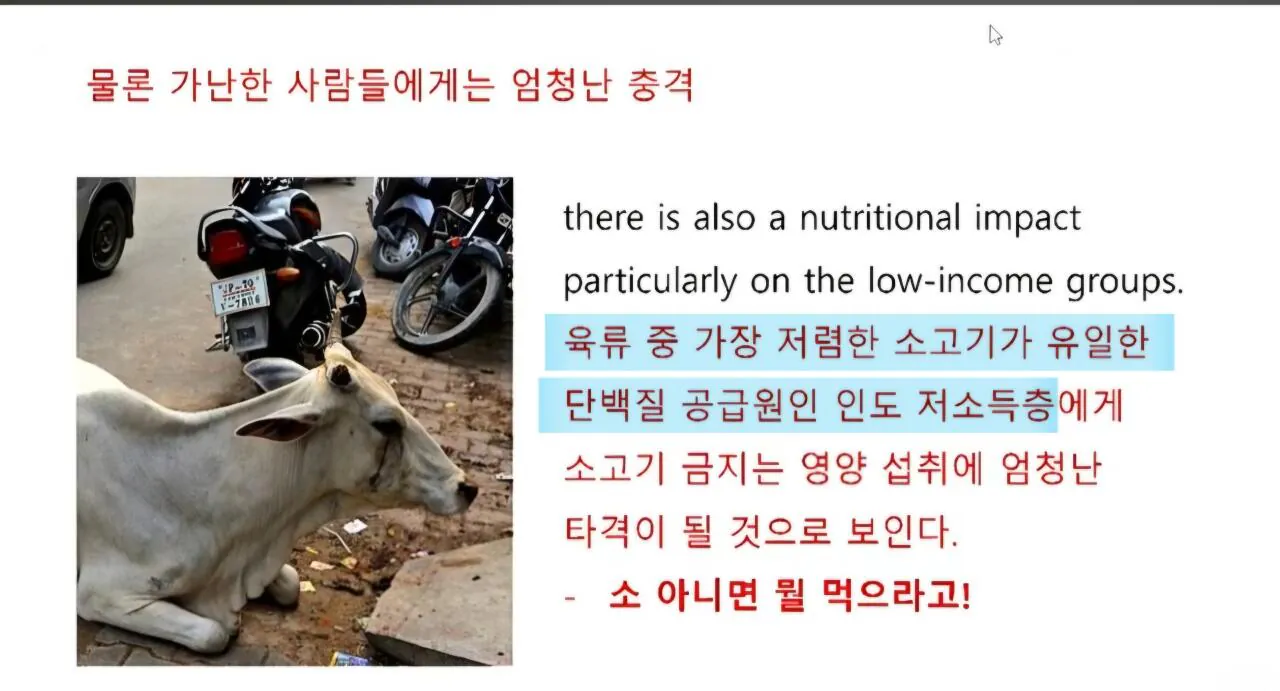 1000121571.jpg 인도에서 소고기 가격이 닭고기보다 50% 저렴한 반값인 이유