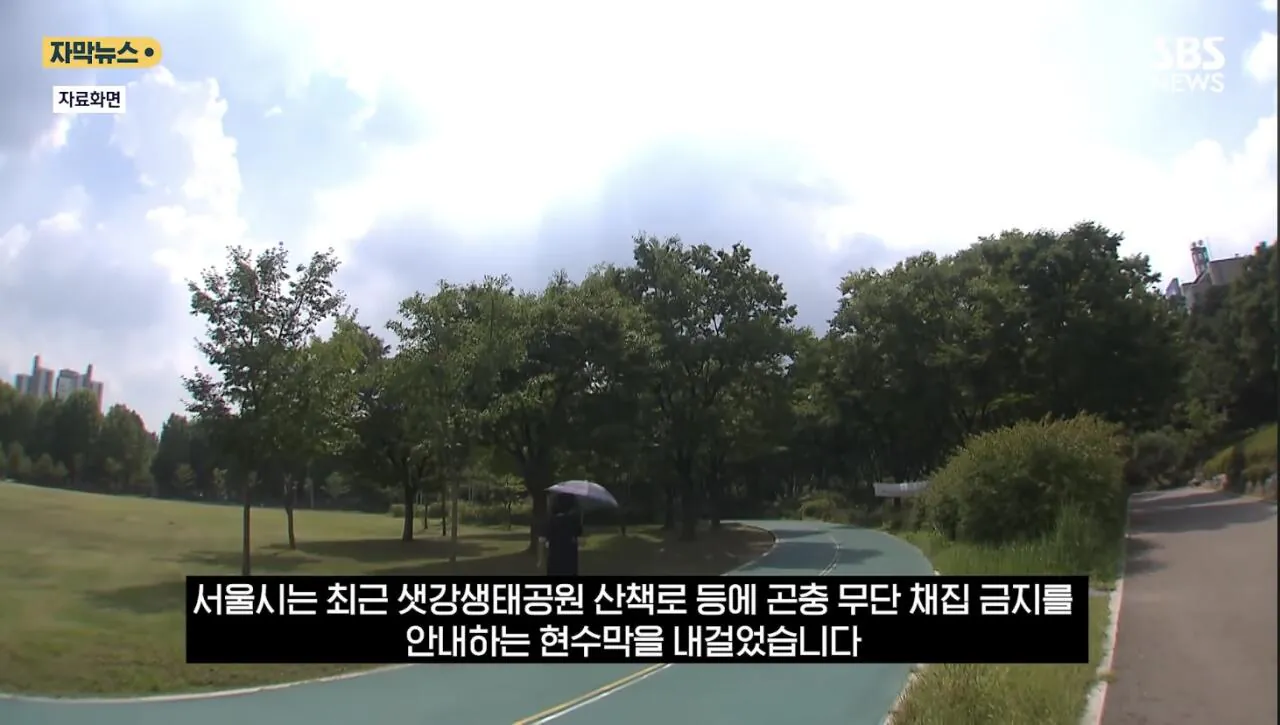 IMG_3049.jpeg 최근 한강공원에서 곤충무단채집 현수막을 건 이유.jpg